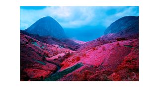 Photograph titled ‘Poison Glen’ taken by Richard Mosse in 2012