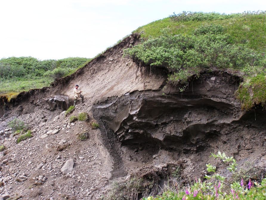 University of Michigan ecologist George Kling, nearby an area of permafrost that melted, which formed a small landslide. 