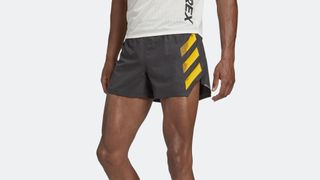 Fitness gifts: Adidas Terrex Agravic Split Shorts