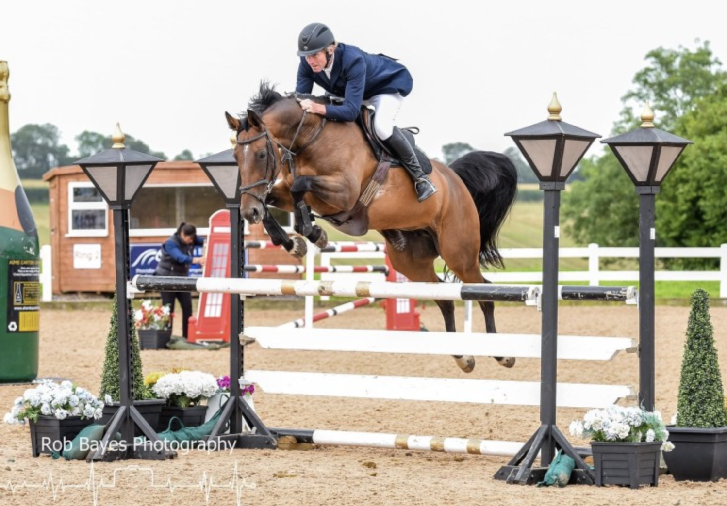 horses for sale over &amp;pound;20000