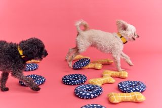Ikea Utsådd pets collection modelled by two curly haired dogs running among soft toys