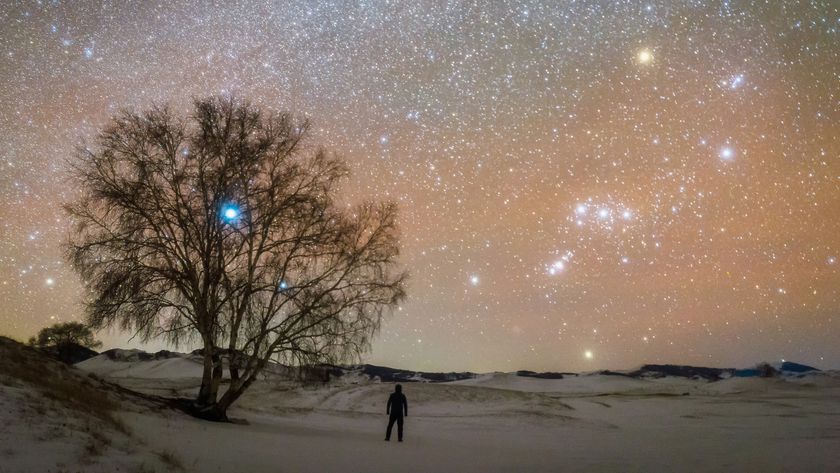 man stood in a snowy field under the night sky