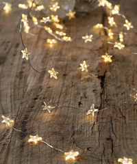 Extra-long fairy lights 80 bulbs | was £22.00, now £17.60 (using code JOY20) from The White Company