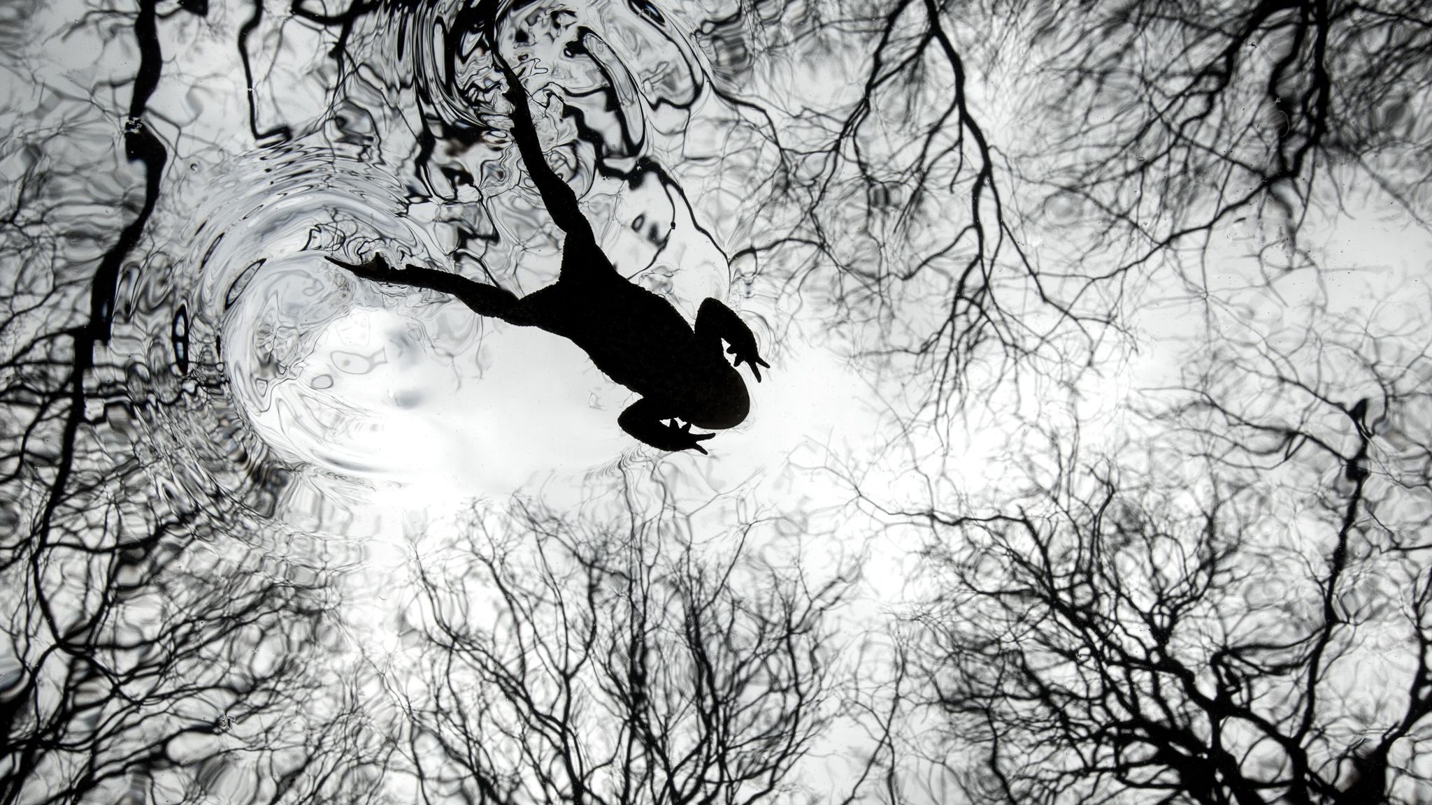 British Wildlife Photography Awards Exhibition in London