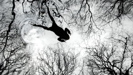 Silhouette of a frog swimming in a pond with a rippling reflection of bare tree branches, creating an abstract, tranquil, and mirrored effect