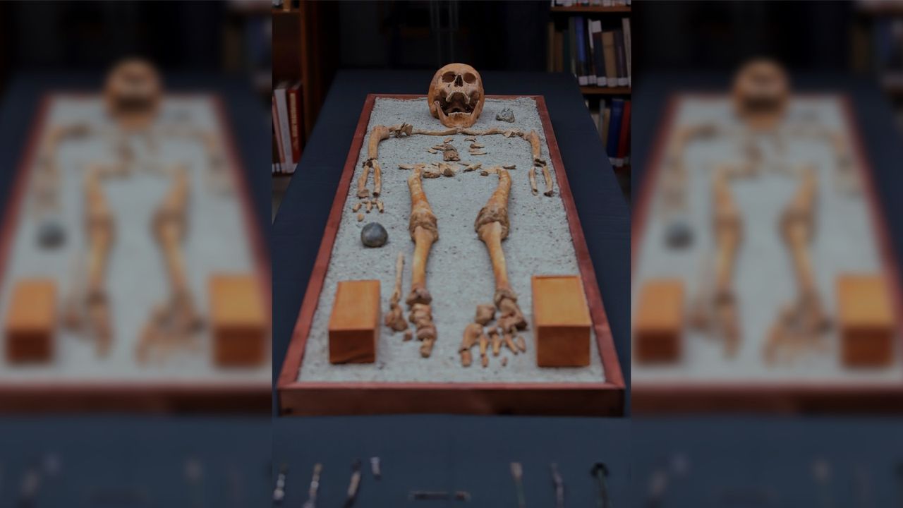 Archaeologists think the person in the grave &ndash; a man aged about 50 or 60 &ndash; may have been a physician trained within the Roman Empire. Here we see a human skeleton laid out on a table.