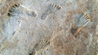 Fossilized human footprints in beige and white sand at White Sands in New, Mexico.
