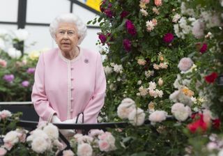 Queen Elizabeth II looks at a display of roses on the Peter Beale roses display at the Chelsea Flower Show 2018