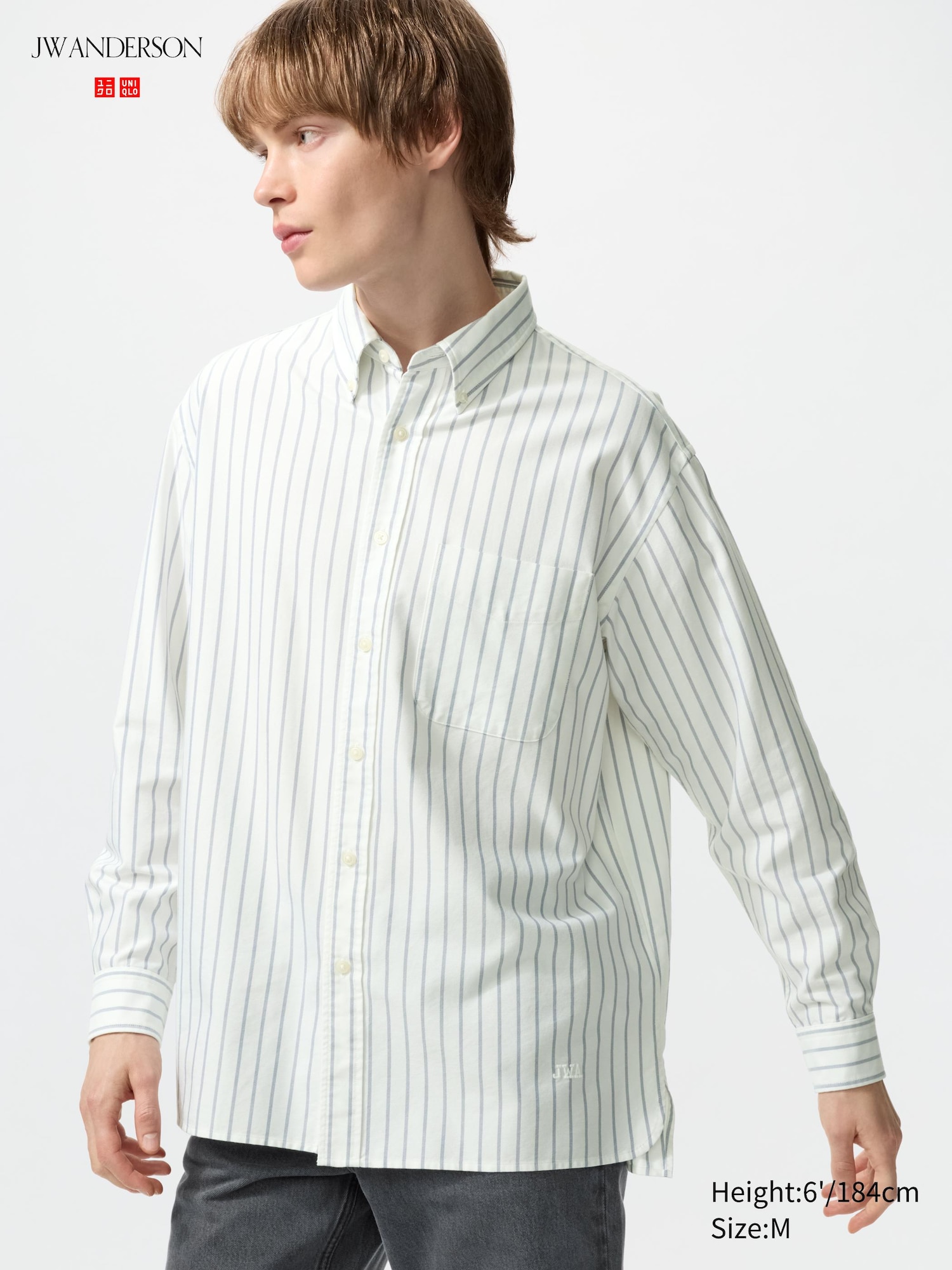 Oxford Oversized Shirt (striped)
