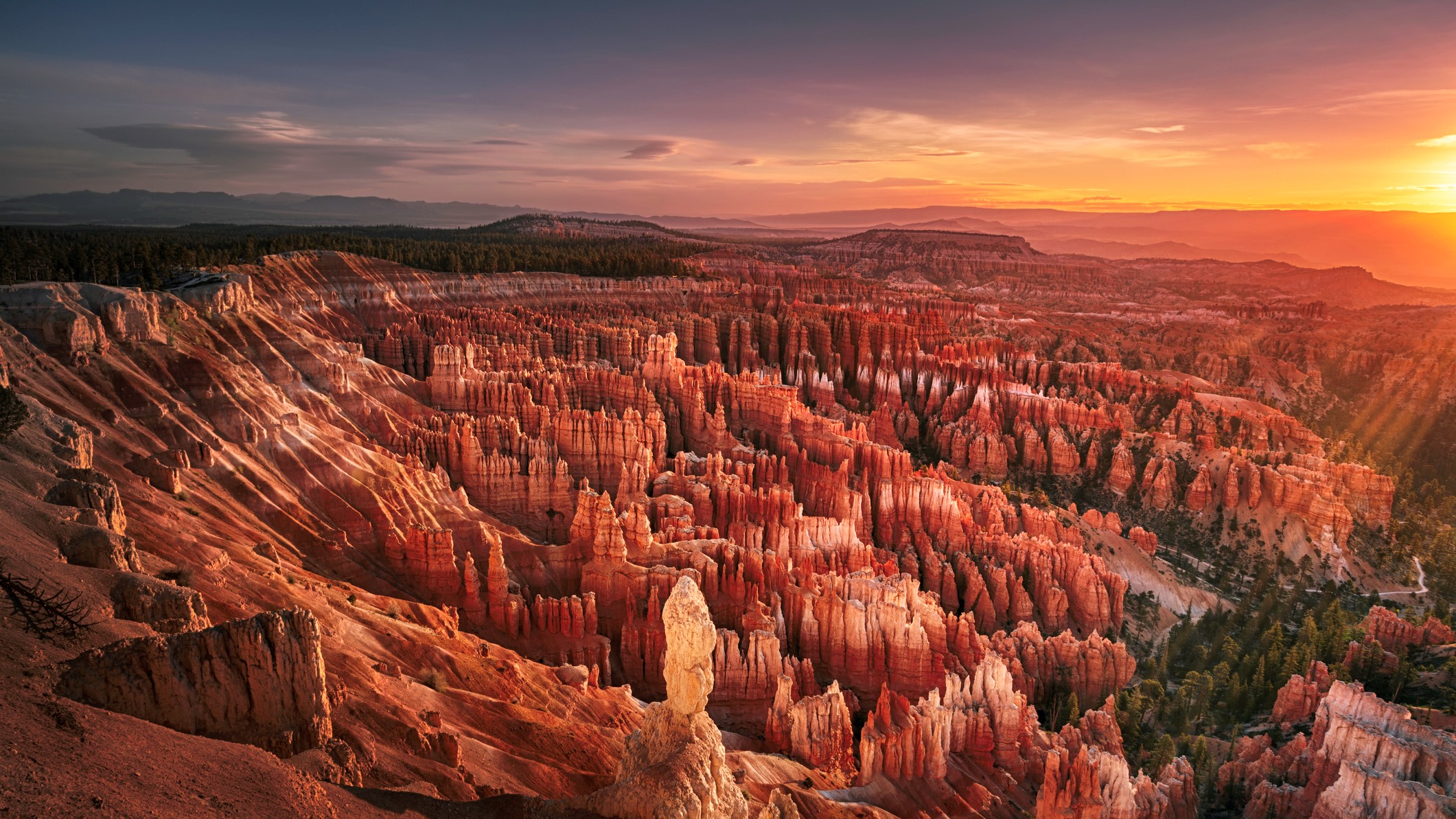 the annular eclipse will be visible from Bryce Canyon National Park, Utah. The image at dawn shows the sun rising off the ride side of the image, bathing the impressive rock structures in the canyon in a golden red light.