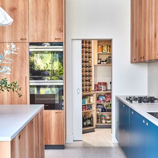 kitchen with wooden and blue cabinets and kitchen larder