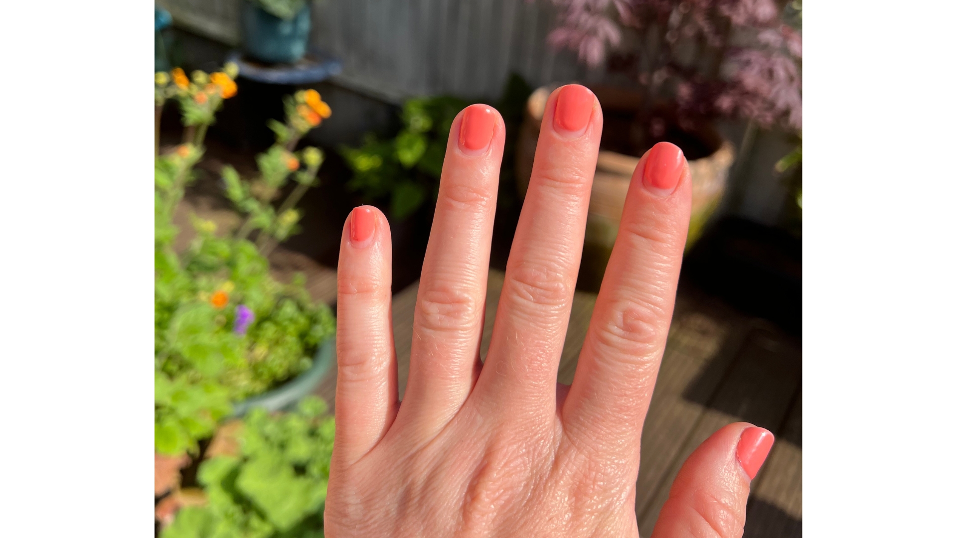 A close-up of Digital Beauty Editor, Fiona McKim's hand, which is pictured with short peach-coral nails, in front of a garden background