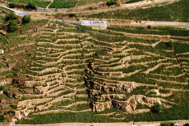 Guigal La Mouline vineyard