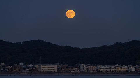 The Moons Secret Revealed Moon Phase Today July 24 2025 - h6ork7x