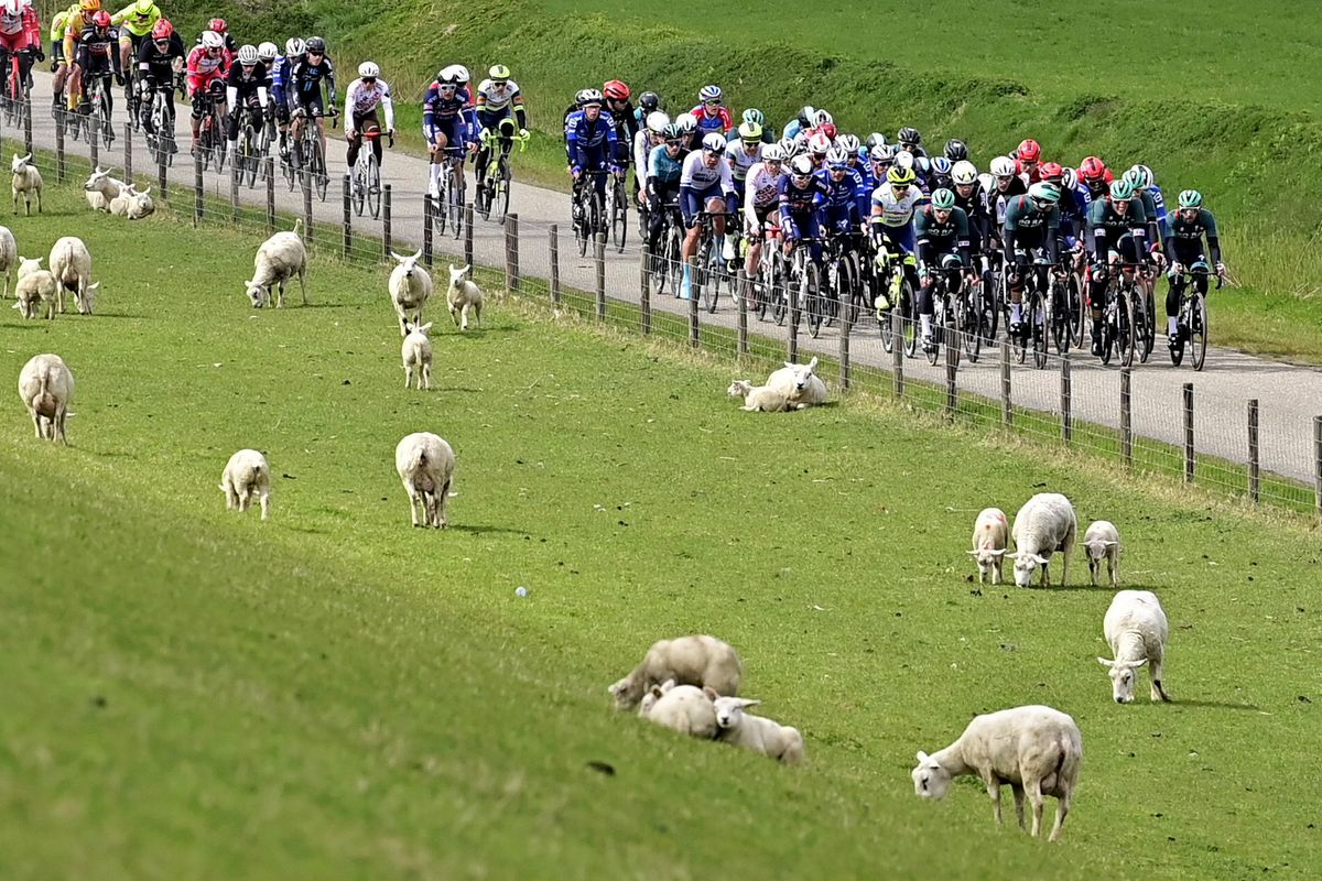 Scheldeprijs 2021 - 109th Edition - Terneuzen - Schoten 193,8 km - 07/04/2021 - Scenery - photo Peter De Voecht/PN/BettiniPhoto&Acirc;&copy;2021