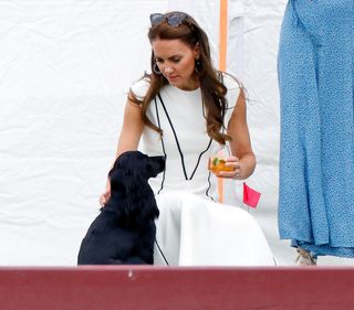 Kate Middleton's new family dog, Orla, comes from her brother's dog's litter