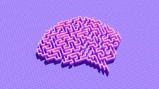 A pink three-dimensional maze in the shape of a brain on a bright purple background