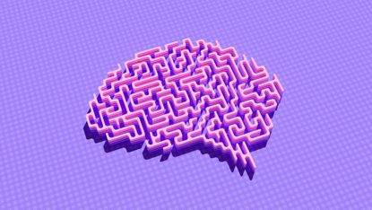 A pink three-dimensional maze in the shape of a brain on a bright purple background