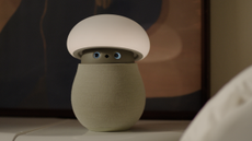 Mori companion robot by OKA