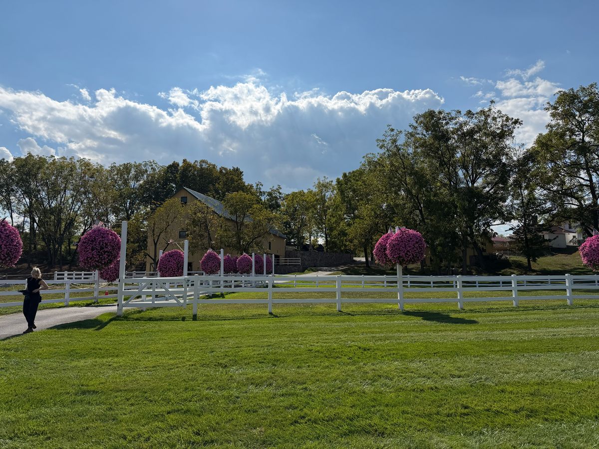 Apple iPhone 17 Pro REVIEW photo samples