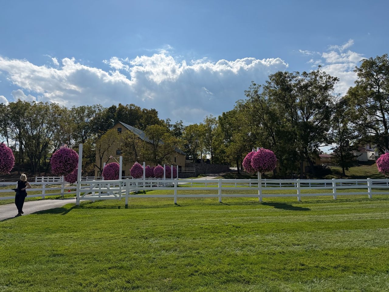Apple iPhone 17 Pro REVIEW photo samples
