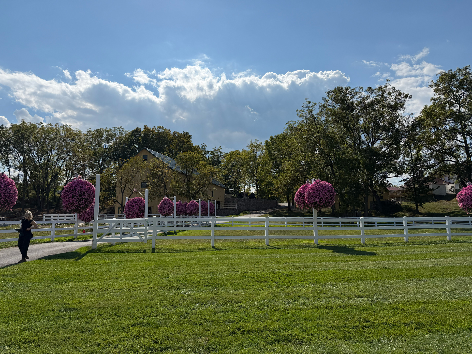 Apple iPhone 17 Pro REVIEW photo samples