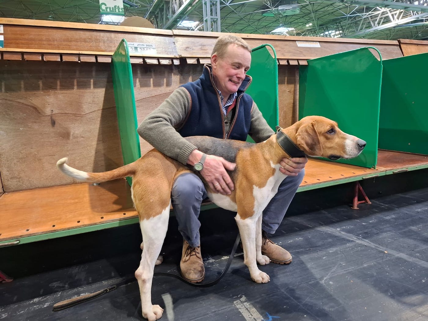 Robert McCarthy of the Percy Hunt, with Sparkle, before winning Best of Breed Crufts 2025. Image credit Adrian Dangar