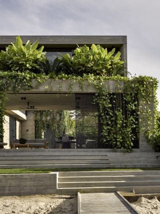 exterior of brutalist home on the beach with vines and foliage draping down over the edge