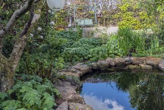 A garden pond surrounded with new Spring growth and a patio with a seating area.