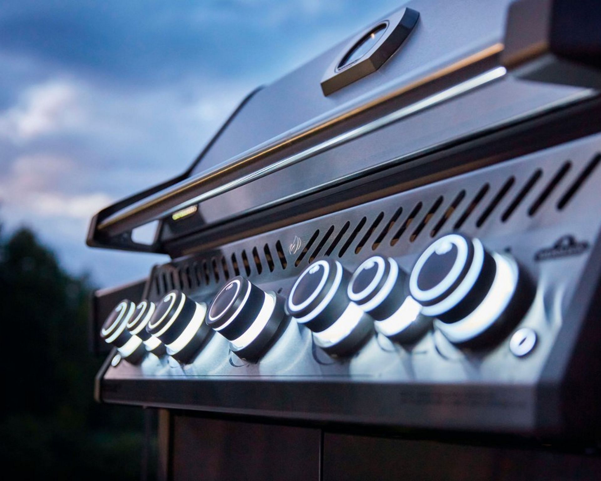Napoleon Rogue SE 625 Natural Gas Grill