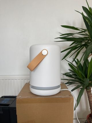 Molekule Air Mini+ air purifier on top of box next to indoor tree and robot vacuum cleaning station