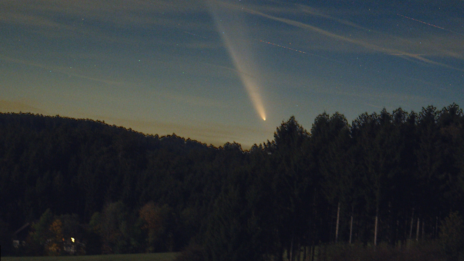 A photo of the comet passing through the night sky over a forest in Austria