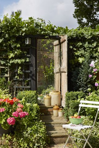 A black lattice fence with climbing plants and rustic gate in country backyard