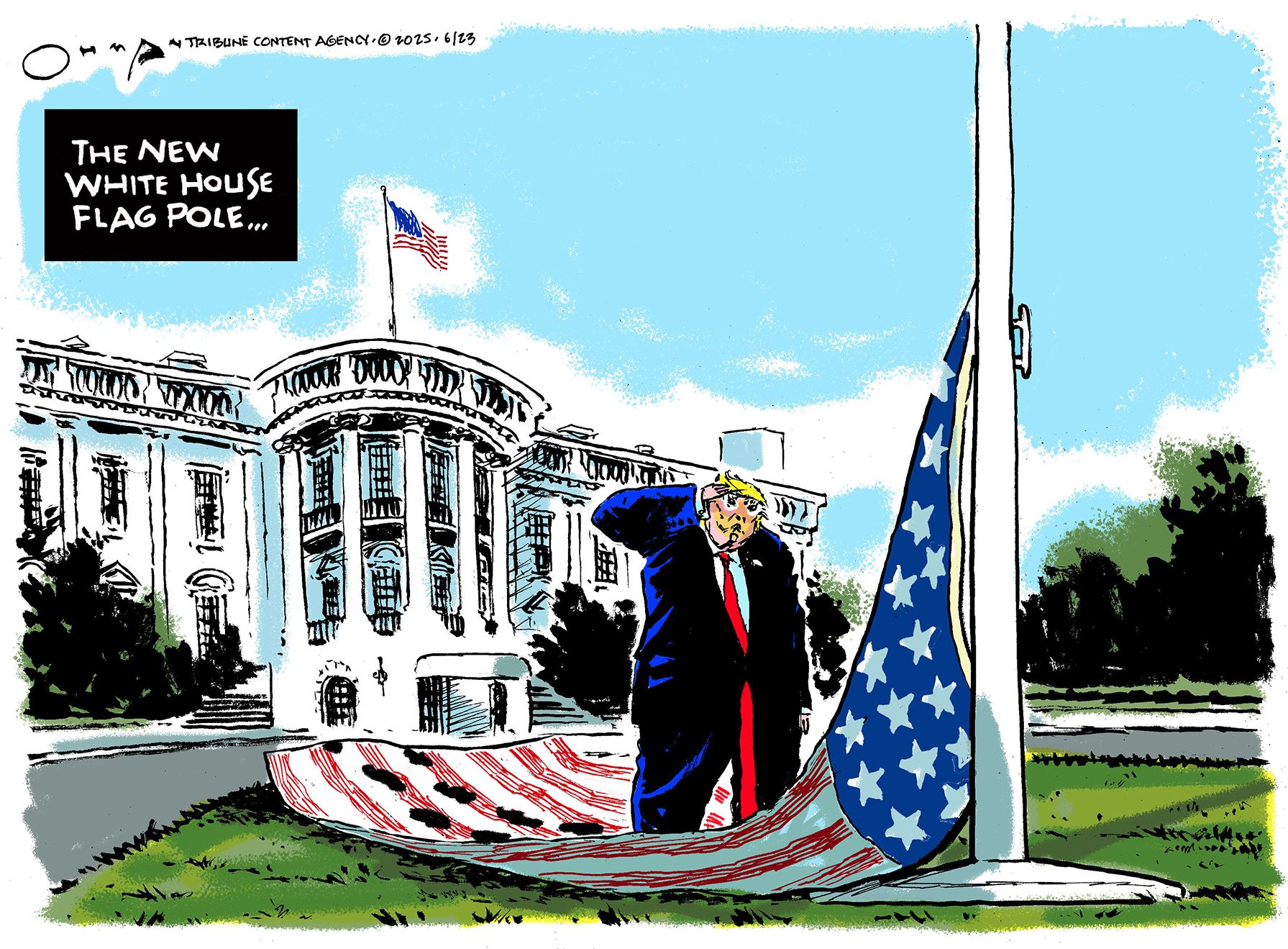 
                                Political Cartoon
                            