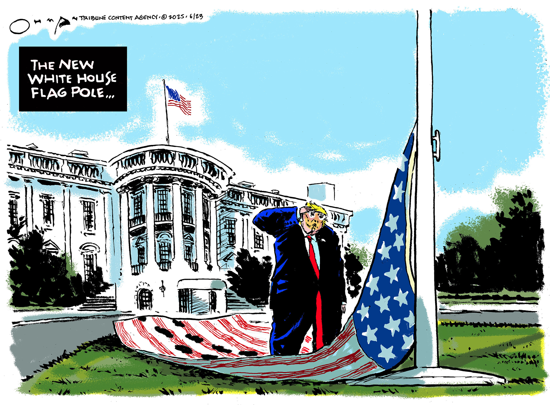 Political Cartoon