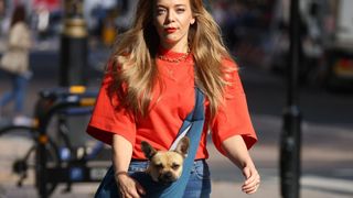 adorable pics of celebrities and their pets