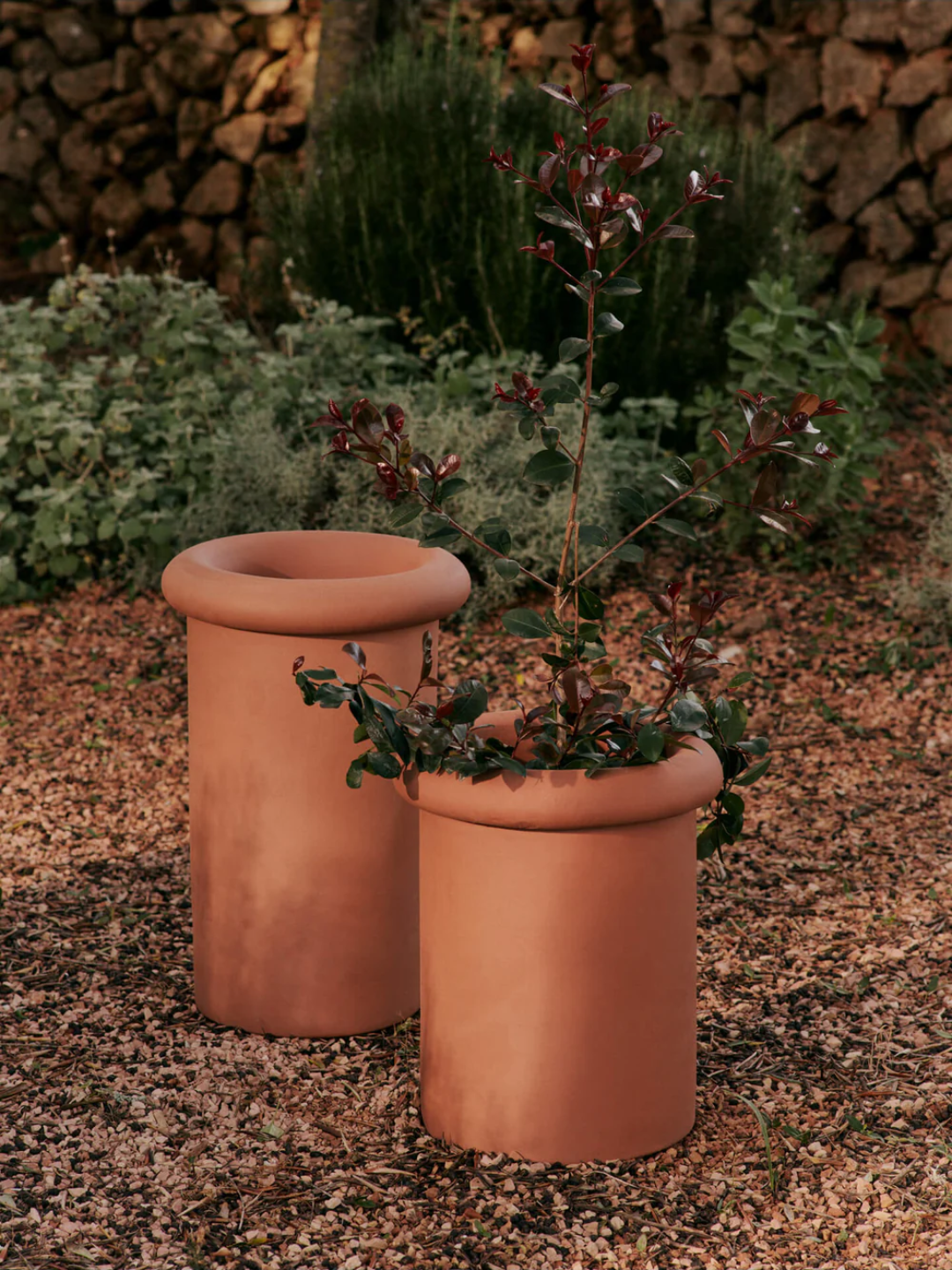 A pair of terracotta planters