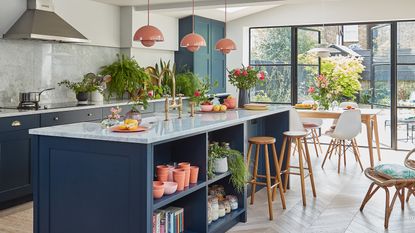 assorted kitchen plants in a modern kitchen extension