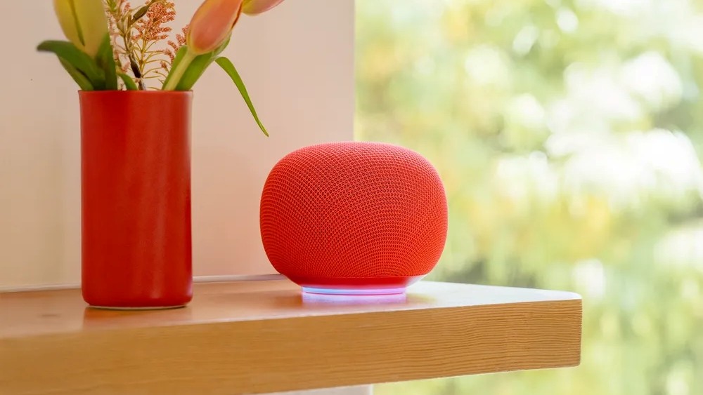Google Home Speaker next to a vase and plant