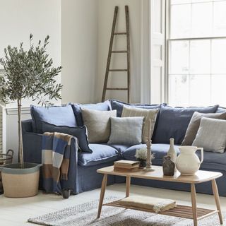 Blue corner sofa in cream room with olive tree