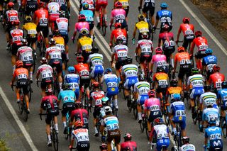 The men's peloton at the 2020 Tour Down Under