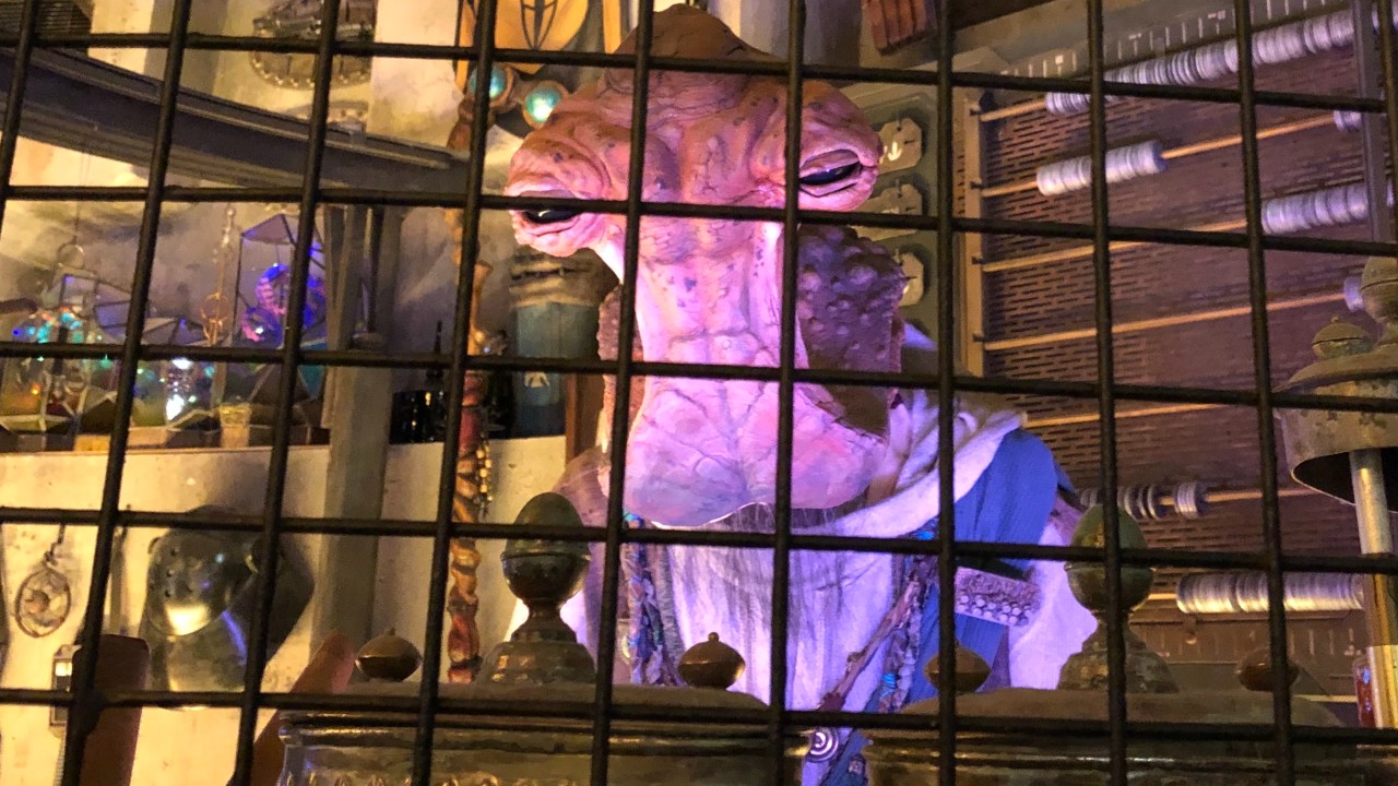 Dok-Ondar in his Den of Antiquities in Galaxy's Edge