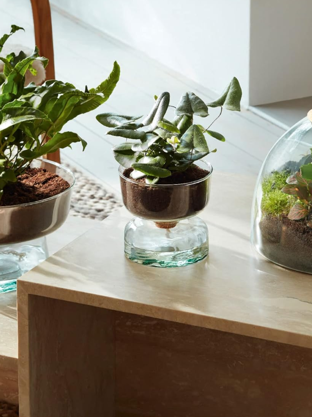 A self-watering planter from LSA International