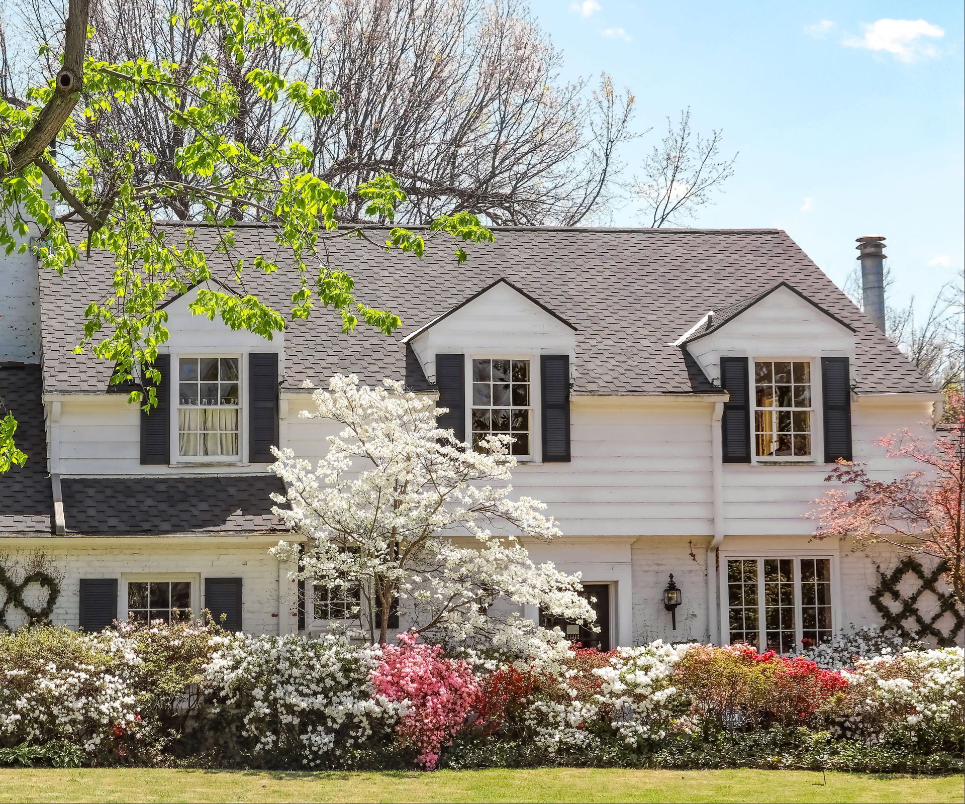 9 of the best trees to plant close to a house – and which ones to avoid 11 dogwood tree in front yard