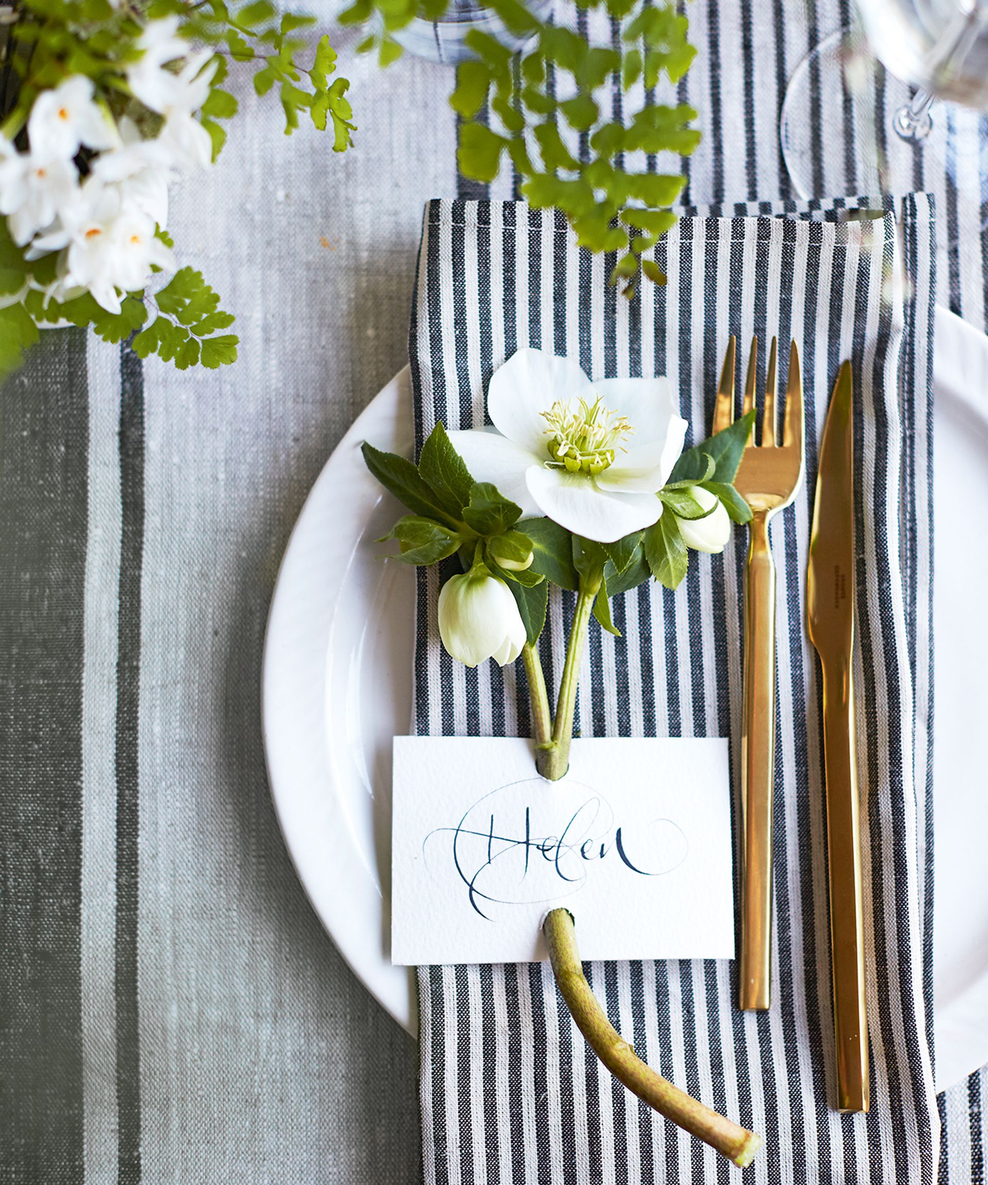 Single white hellebore placed on side plate