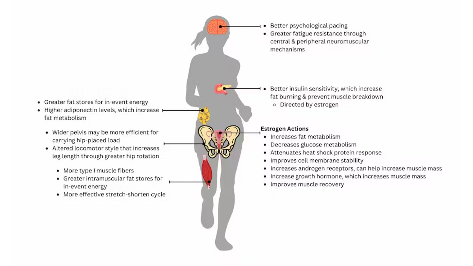 Diagram that shows the effects of exercise on the female body.