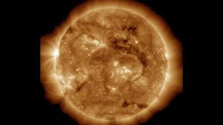 A NASA Solar Dynamics Observatory image of the sun.