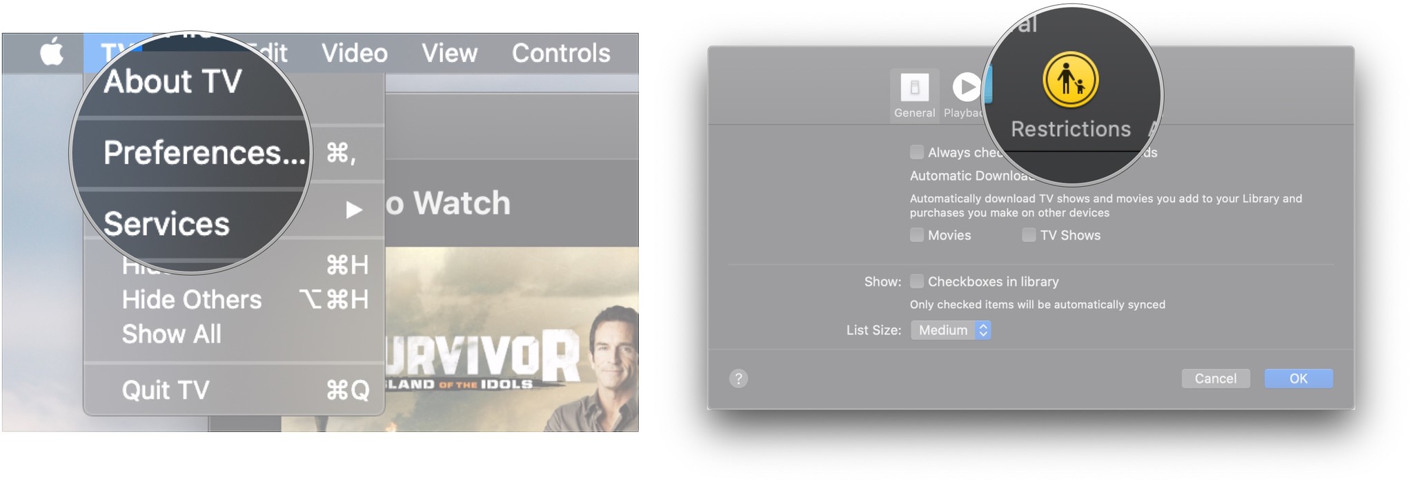 Click Preferences, click Restrictions
