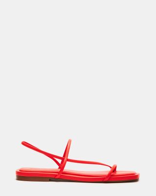 Lynley Red Strappy Square Toe Sandal | Women's Sandals 
 Steve Madden