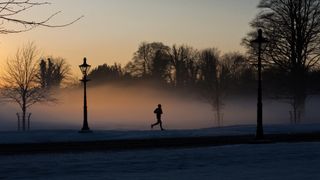 winter runner